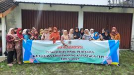 Pelatihan Pengolahan Hasil Pertanian Hari Kedua, Ibu-Ibu PKK dan UMKM Kalurahan Giripanggung