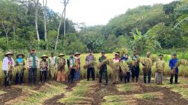 Pemkal Giripanggung Bersama Gapoktan dan BPP Tepus Laksanakan Ubinan Jagung dan Padi 