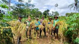 Pemkal Giripanggung Bersama BPP Kapanewon Tepus Laksanakan Pengubinan Jagung dan Padi 
