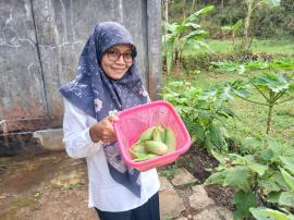 Pemkal Giripanggung Panen Terong di Pekarangan Kantor, Dukung Program Gerbang Pagi Gunungkidul