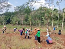 KWT Padukuhan Regedeg Kerja Bakti Persiapan Lahan Budidaya Cabai Program PIS Tahun 2026